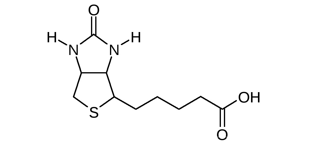 Структура формула химическая биотин кофермент R